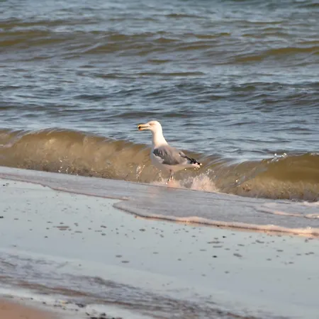 Haus Tanneck, Nr 14 Kellenhusen