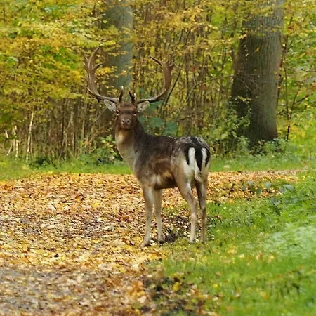 Daire Haus Tanneck, Nr 14 Kellenhusen