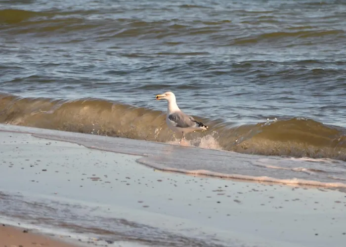 Haus Tanneck, Nr 14 كيلينهوسن